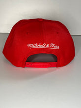 Load image into Gallery viewer, MN NBA Color Popz Snapback Bulls
